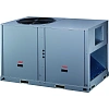 IGC IRFT-026HA/NB-Q